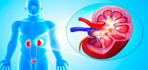 KIDNEY AND URINARY DISEASE